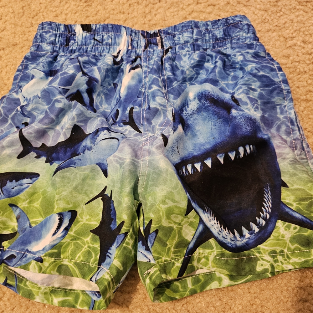 Shark Print Swim Shorts